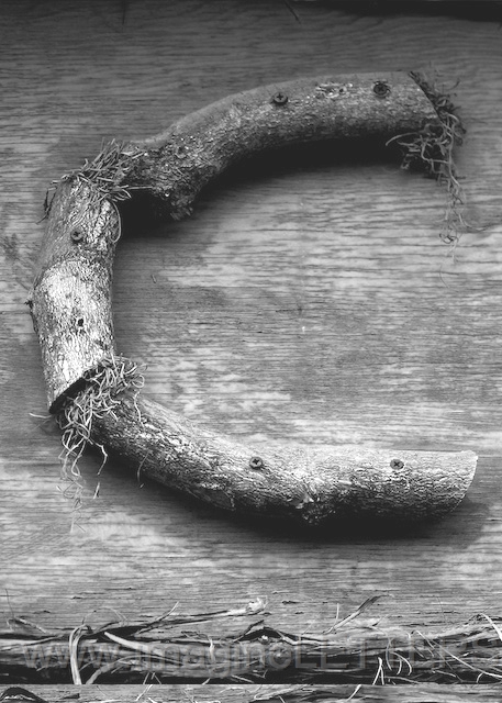 Wall_Art_Alphabet_Photography_Art_ 353.jpg